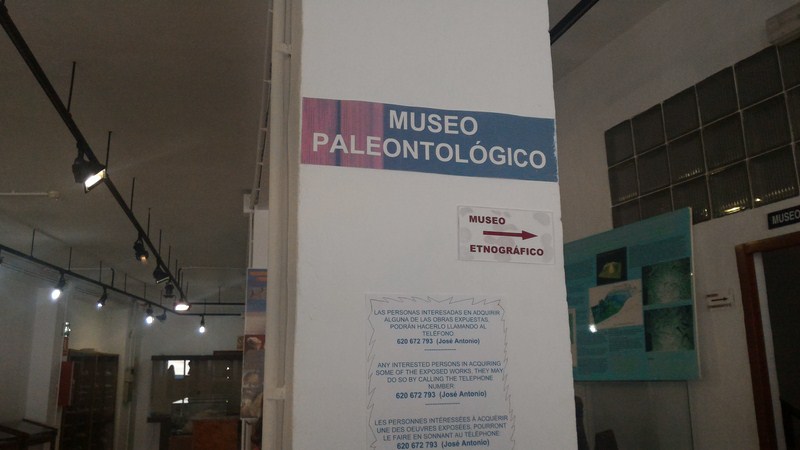 P 20170405 110022 [1600x1200]